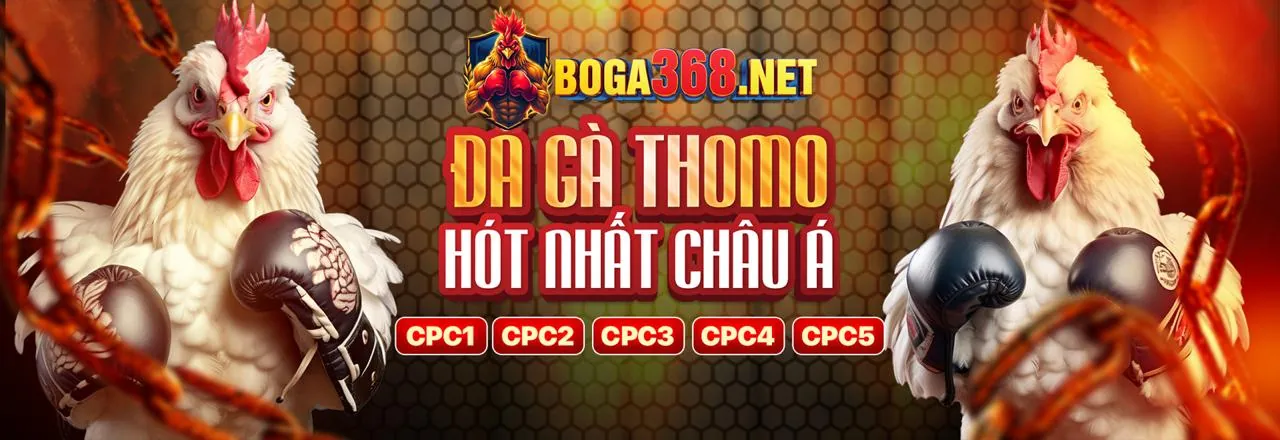 Hình ảnh nền M99 Link Vào